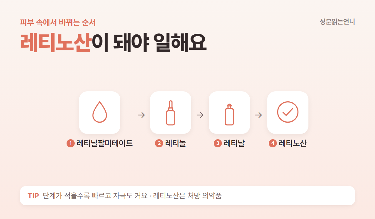 레티닐팔미테이트 레티놀 레티날 레티노산 순서로 바뀌는 레티노이드