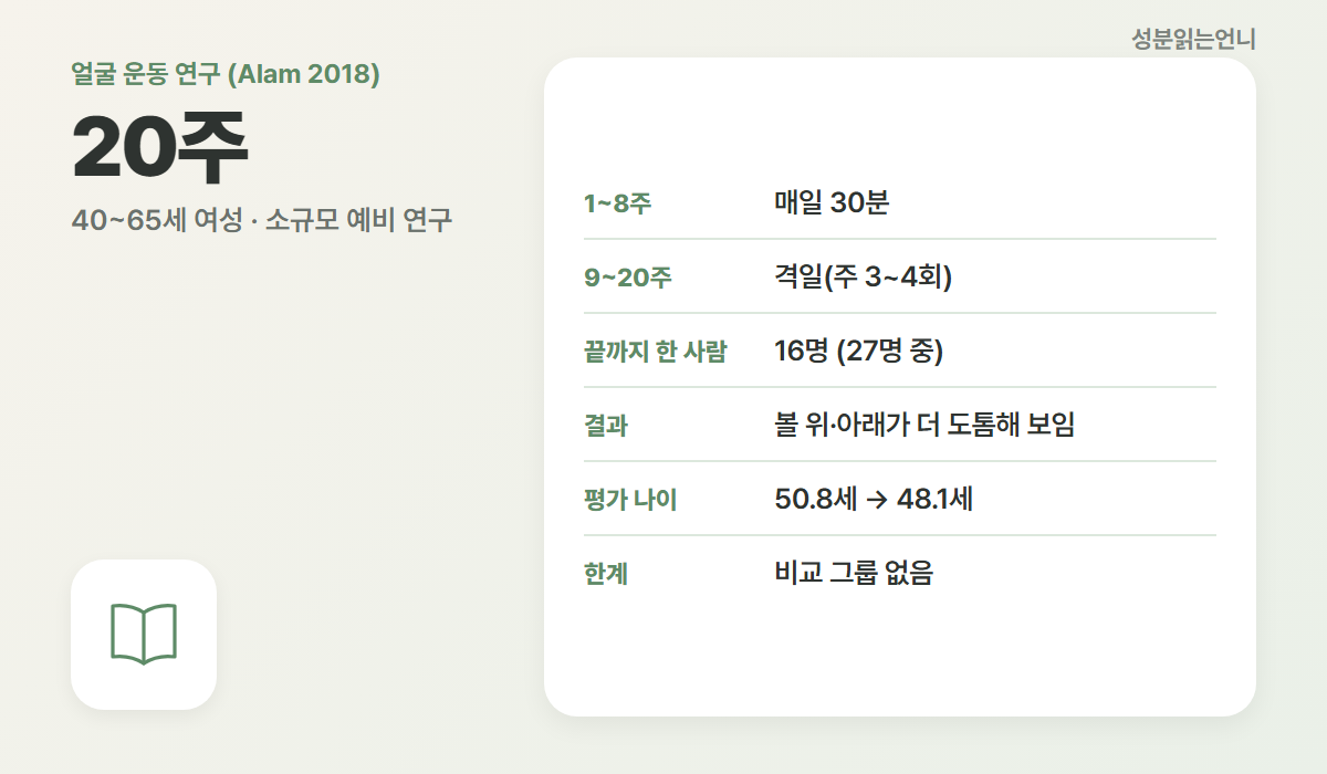 얼굴 운동 연구 20주 하루 30분 끝까지 16명 볼 윗부분 아랫부분 도톰 나이 약 1살