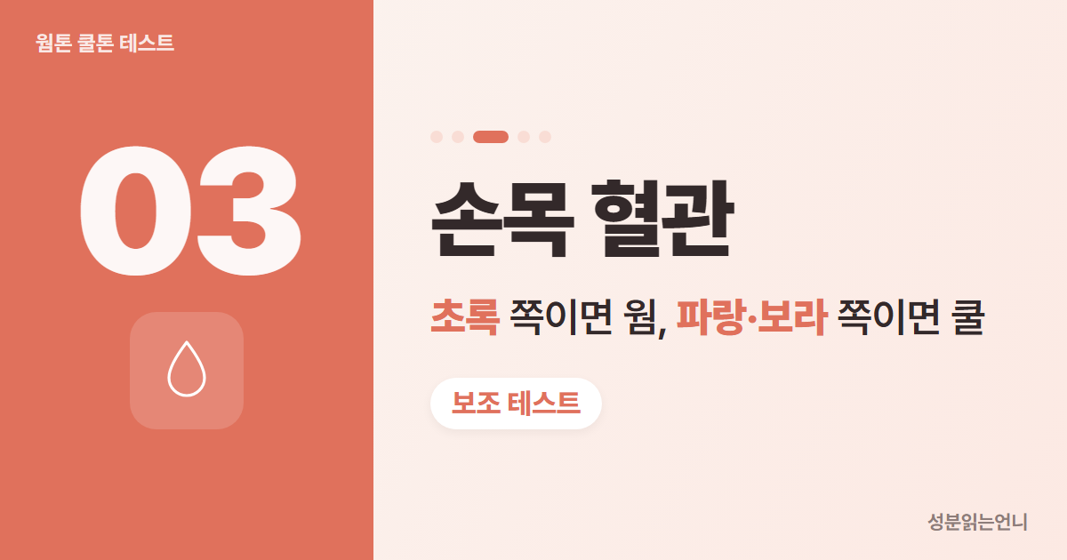 웜톤 쿨톤 테스트 3 손목 혈관 색 초록이면 웜 파랑 보라면 쿨