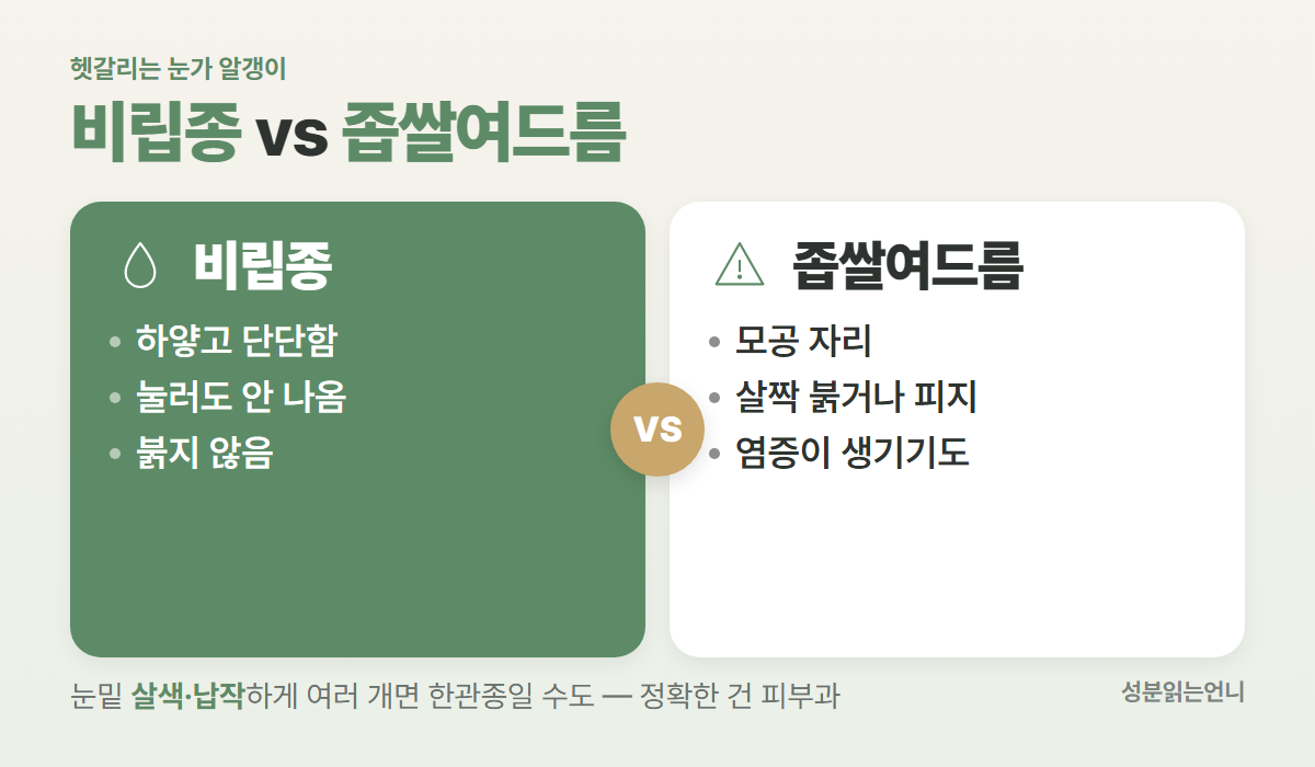 비립종 vs 좁쌀여드름 색 단단함 짜면 염증 구분